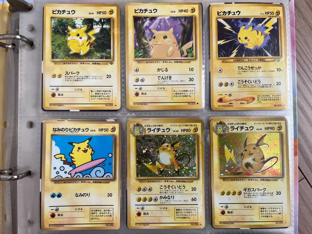 旧裏ポケカ ファイル200枚以上(ノーマルカード含む・なみのりピカチュウ・ライチュウ・ルギアほか)の買取実績