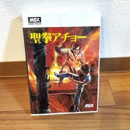 聖拳アチョー(ソフト)