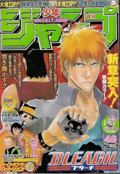 週刊少年ジャンプ 2010年48号(BLEACH)の表紙