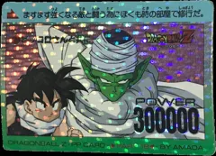 カードダス ドラゴンボール PPカード パート18 No.761 【ピッコロさんと共に…】 ドット版（キラ違い）