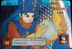 カードダス ドラゴンクエスト カードダス 裏ロト No.88 【女僧侶】