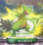 カードダス ポケモンずかんカードダス EVO キモリ・ジュプトル・ジュカイン