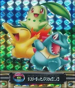 カードダス ポケモンずかんカードダス 06 プリズムクリア チコリータ&ヒノアラシ&ワニノコ