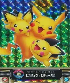 カードダス ポケモンずかんカードダス 04 プリズムクリア ピカチュウ&ピチュー兄弟