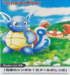 カードダス ポケモンウィークリー No.38 長寿のシンボル！カメールのしっぽ
